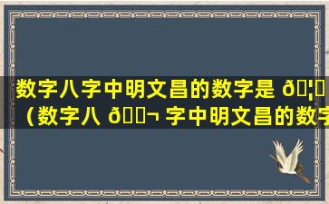 数字八字中明文昌的数字是 🦟 （数字八 🐬 字中明文昌的数字是什么意思啊）